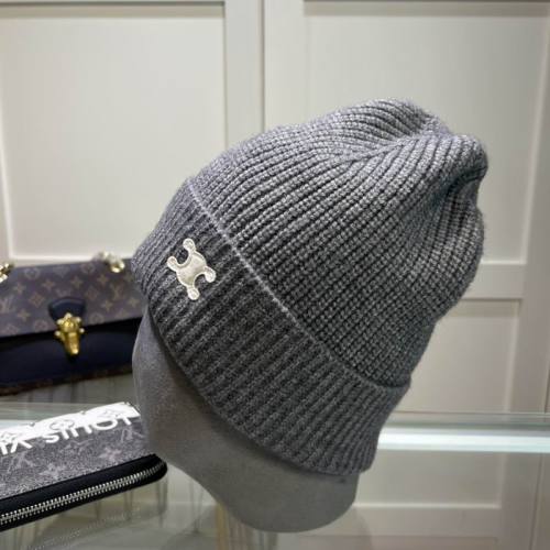 Celine Hats AAA-1291