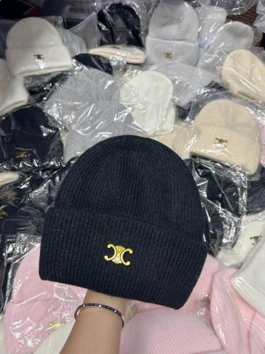 Celine Hats AAA-1149
