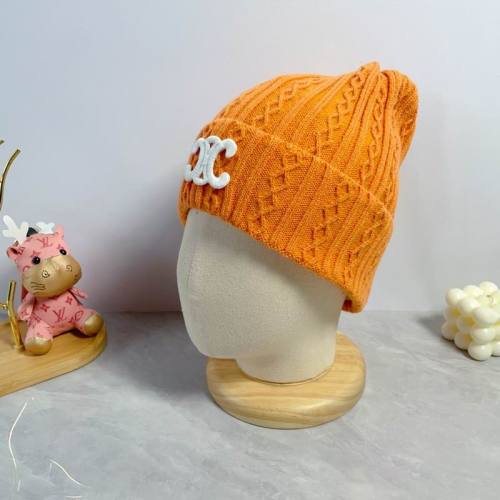 Celine Hats AAA-1264