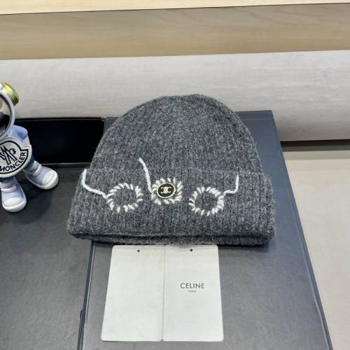 Celine Hats AAA-1239