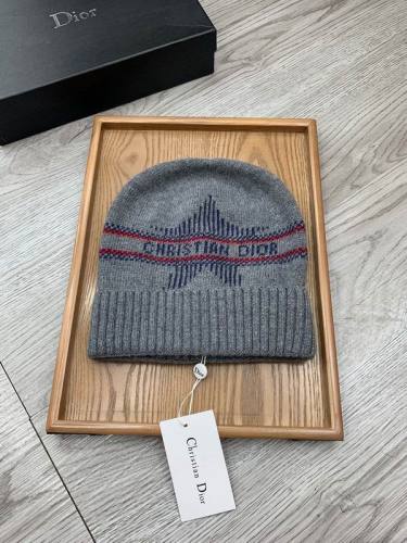 Dior Hats AAA-1310