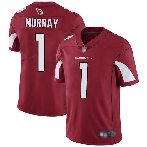 NFL Arizona Cardinals-068