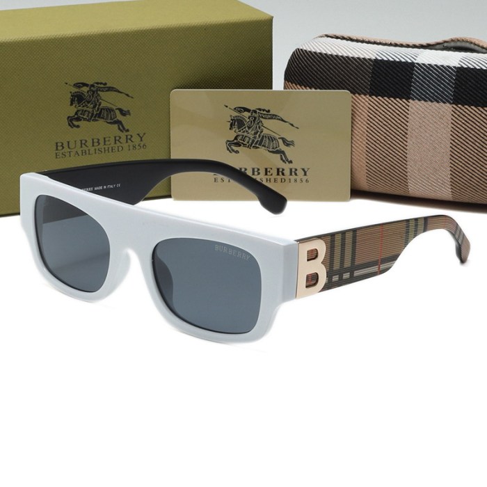 Burberry Sunglasses AAA-602