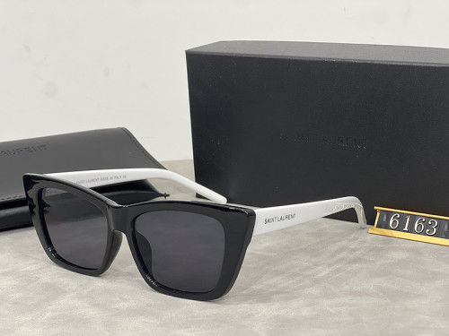 YL  Sunglasses AAA-100