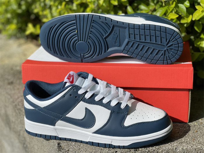Authentic Nike Dunk Low＂Valerian Blue＂