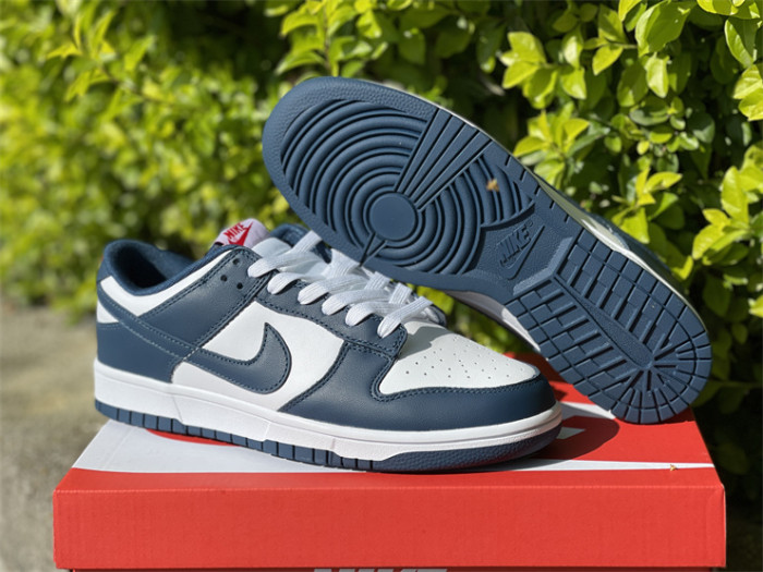Authentic Nike Dunk Low＂Valerian Blue＂