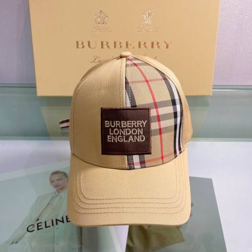 Burrerry Hats AAA-397