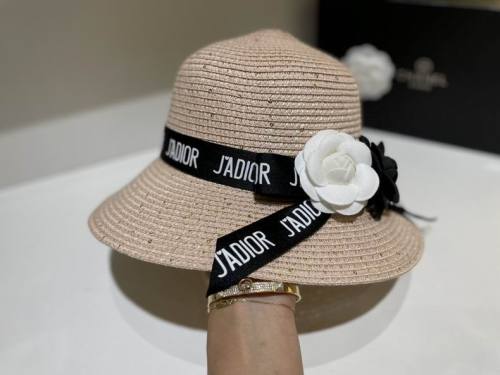 Dior Hats AAA-613