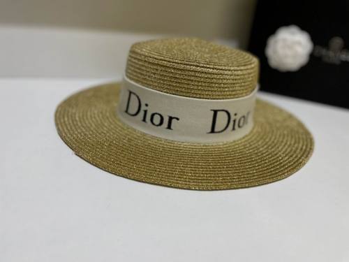 Dior Hats AAA-696