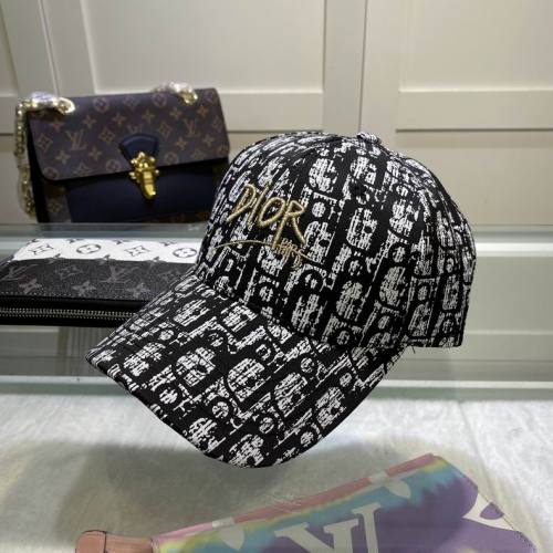 Dior Hats AAA-551