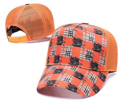 Burberry Hats-060