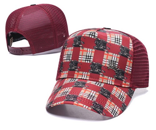 Burberry Hats-061