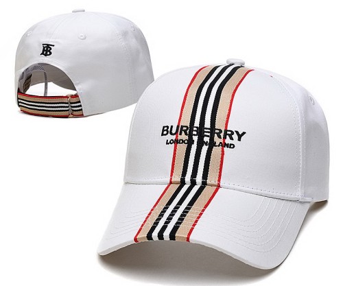 Burberry Hats-050