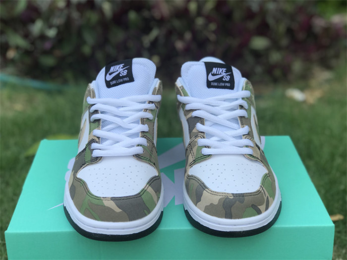 Authentic Nike SB Dunk Low Camo