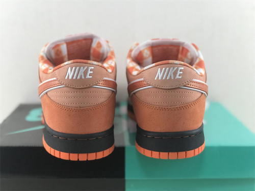Authentic Concepts x Nike SB Dunk Low Orange