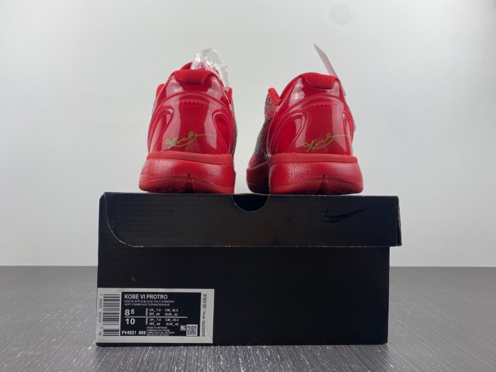 Nike Kobe Bryant 6 Shoes-050