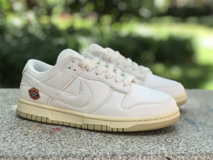 Authentic Nike Dunk Low “The Future is Equal”