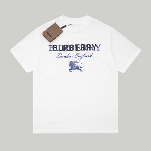 Burberry Shirt 1：1 Quality-805(XS-L)