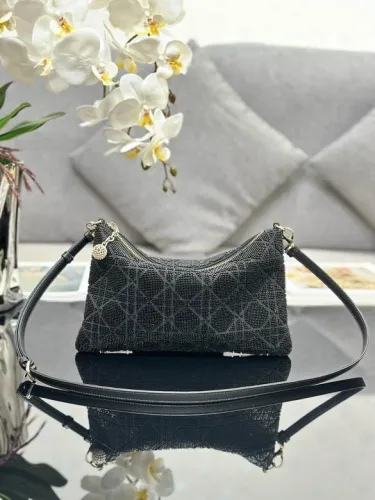 Dior Handbags AAA-102