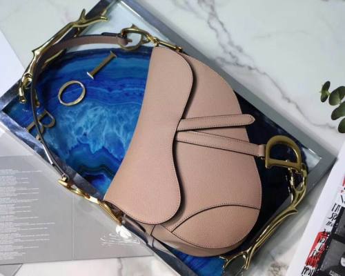 Dior Handbags AAA-166