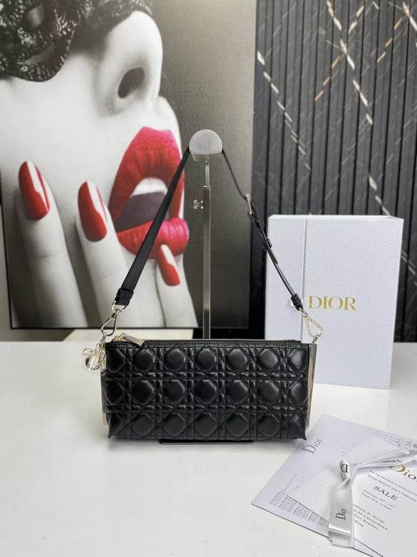 Dior Handbags AAA-096