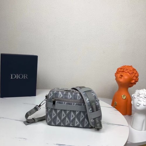 Dior High End Quality Bags-123