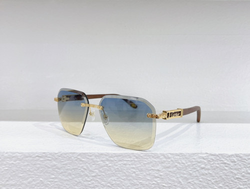 Cartier Sunglasses AAAA-3879
