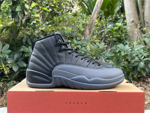 Authentic Air Jordan 12 Black Wolf Grey”