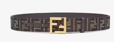 Super Perfect Quality FD Belts-859