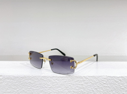 Cartier Sunglasses AAAA-4306