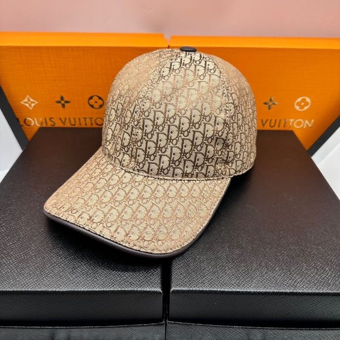 Dior Hats AAA-818