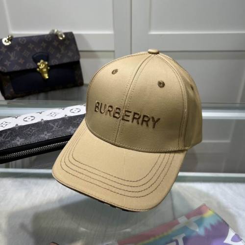 Burrerry Hats AAA-679