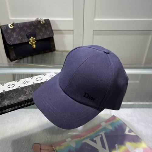 Dior Hats AAA-860