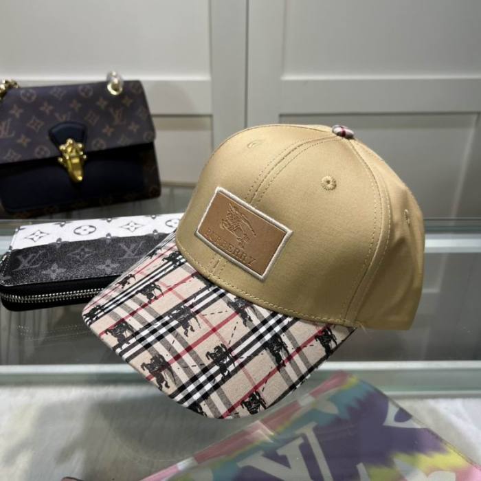 Burrerry Hats AAA-529