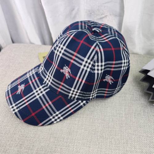 Burrerry Hats AAA-605