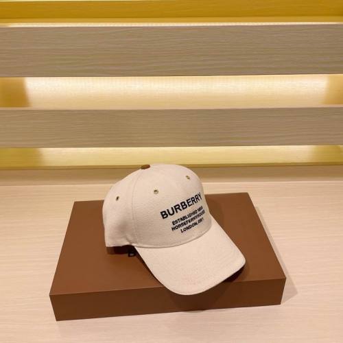 Burrerry Hats AAA-644