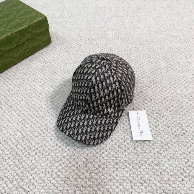 Dior Hats AAA-844