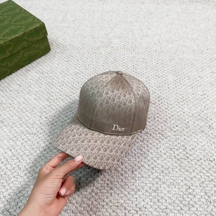 Dior Hats AAA-845