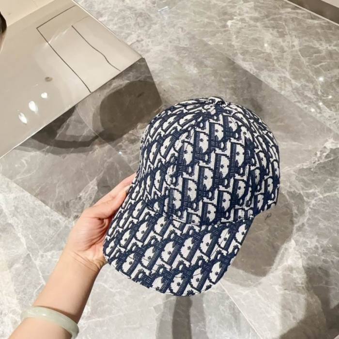 Dior Hats AAA-1053