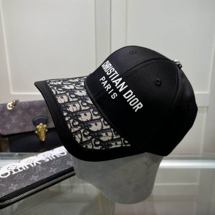 Dior Hats AAA-1066