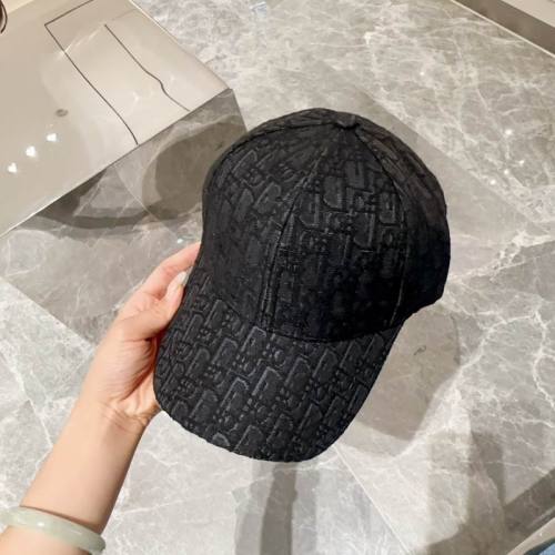 Dior Hats AAA-1051