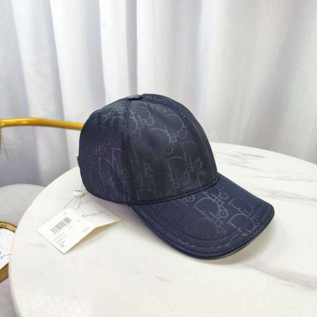 Dior Hats AAA-1065