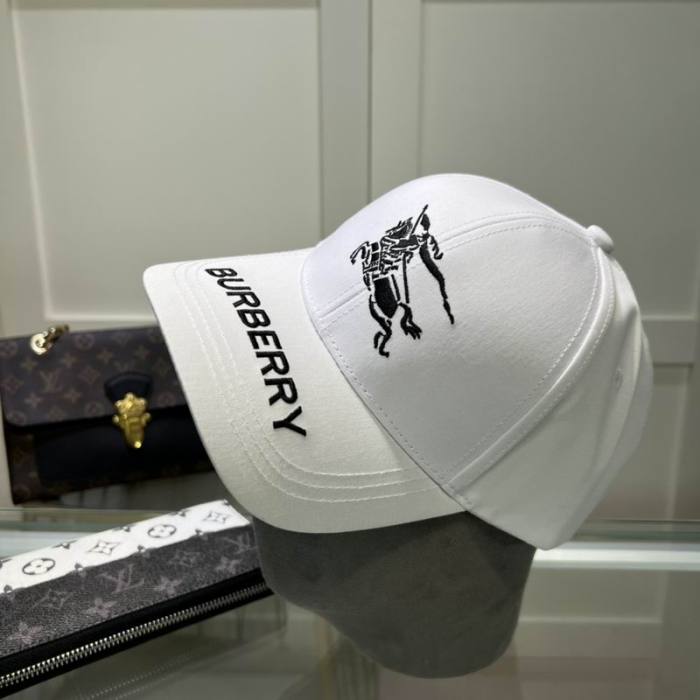 Burrerry Hats AAA-691
