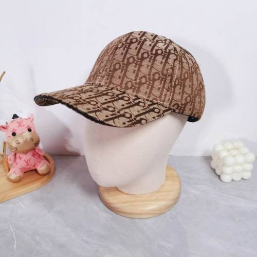 Dior Hats AAA-1048