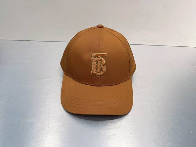 Burrerry Hats AAA-791