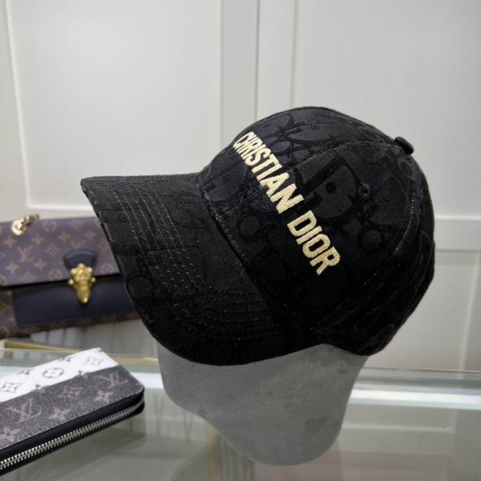 Dior Hats AAA-921