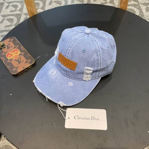 Dior Hats AAA-1101