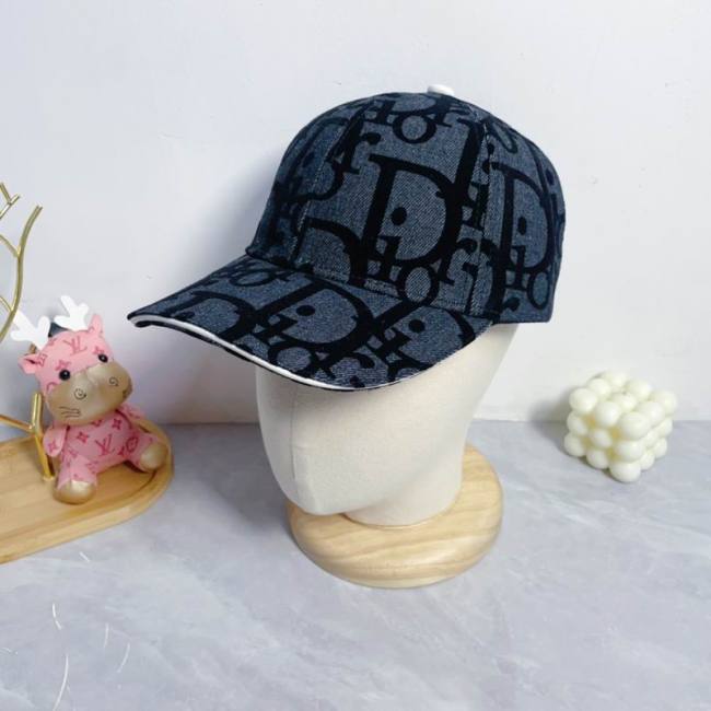 Dior Hats AAA-1108