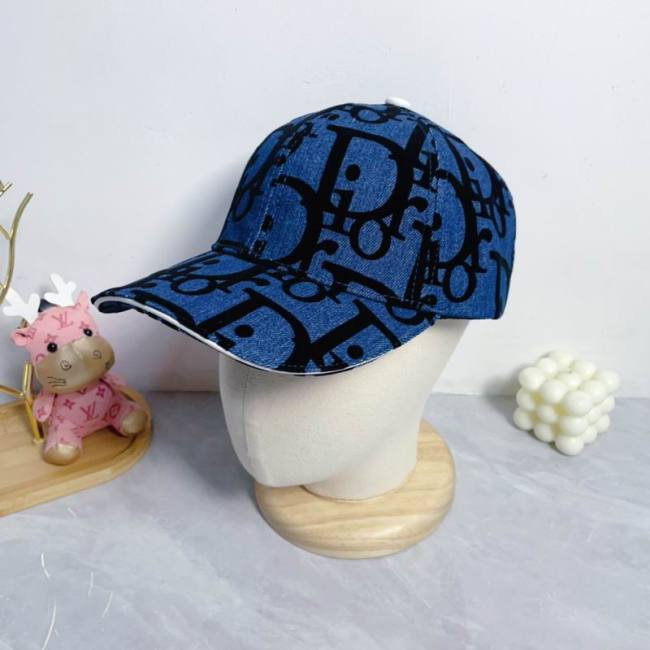 Dior Hats AAA-1107