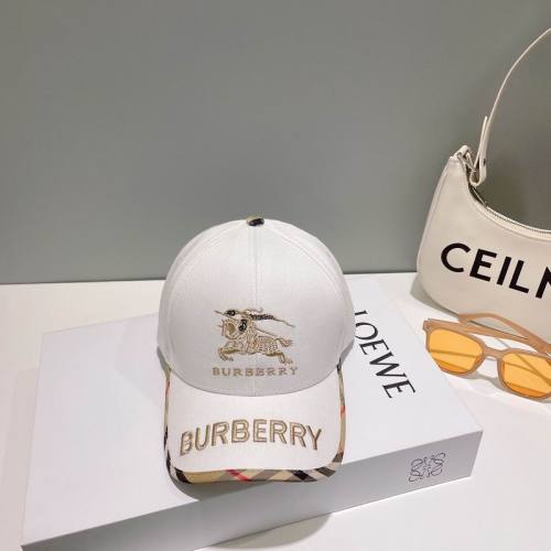 Burrerry Hats AAA-717